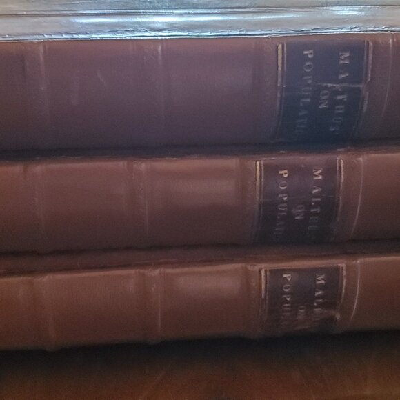**RARE** An Essay on the Principle of Population...Malthus, Thomas R.1817 - Picture 10 of 11